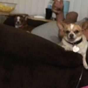 Meet your Posher, Carla